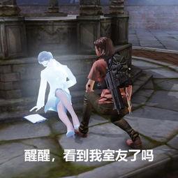 娱乐圈吃瓜游戏视频,视频带你领略明星幕后故事