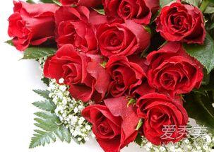 娱乐吃瓜酱带刺的玫瑰,揭秘带刺玫瑰背后的故事